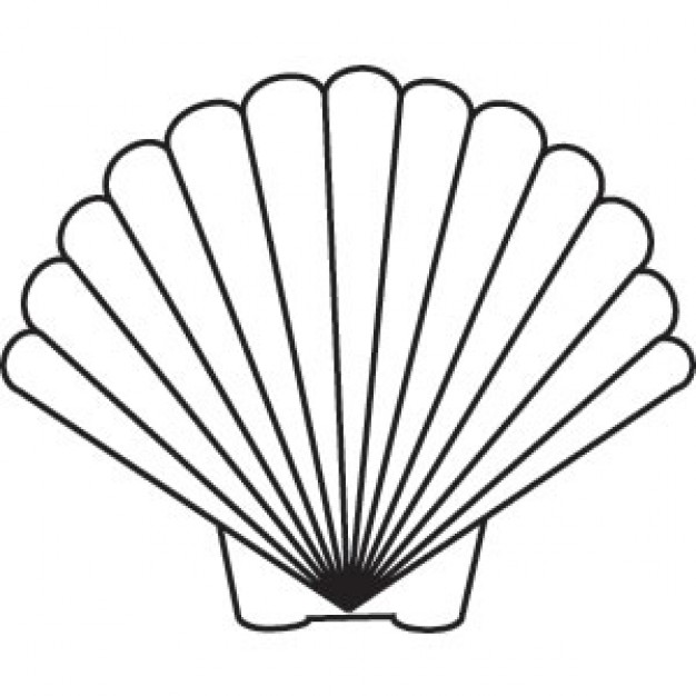 626x626 Scallop Shell Clip Art