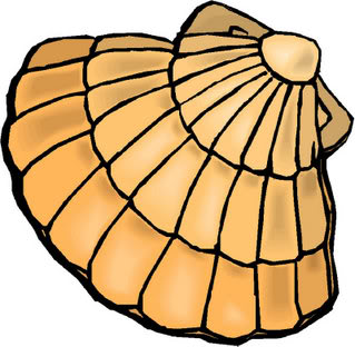 319x312 Top 65 Shell Clip Art