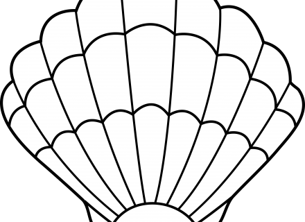 440x320 Shell Clip Art