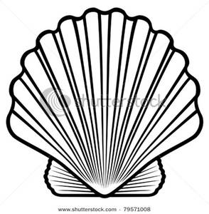 Shell Clipart Black And White