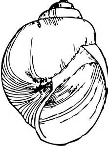 221x300 Black And White Clip Art Of Aabalone Shell