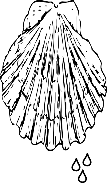 348x595 Shell And Drops Of Water Clip Art