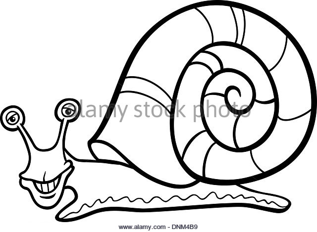 640x469 Shell House Snail Clipart, Explore Pictures