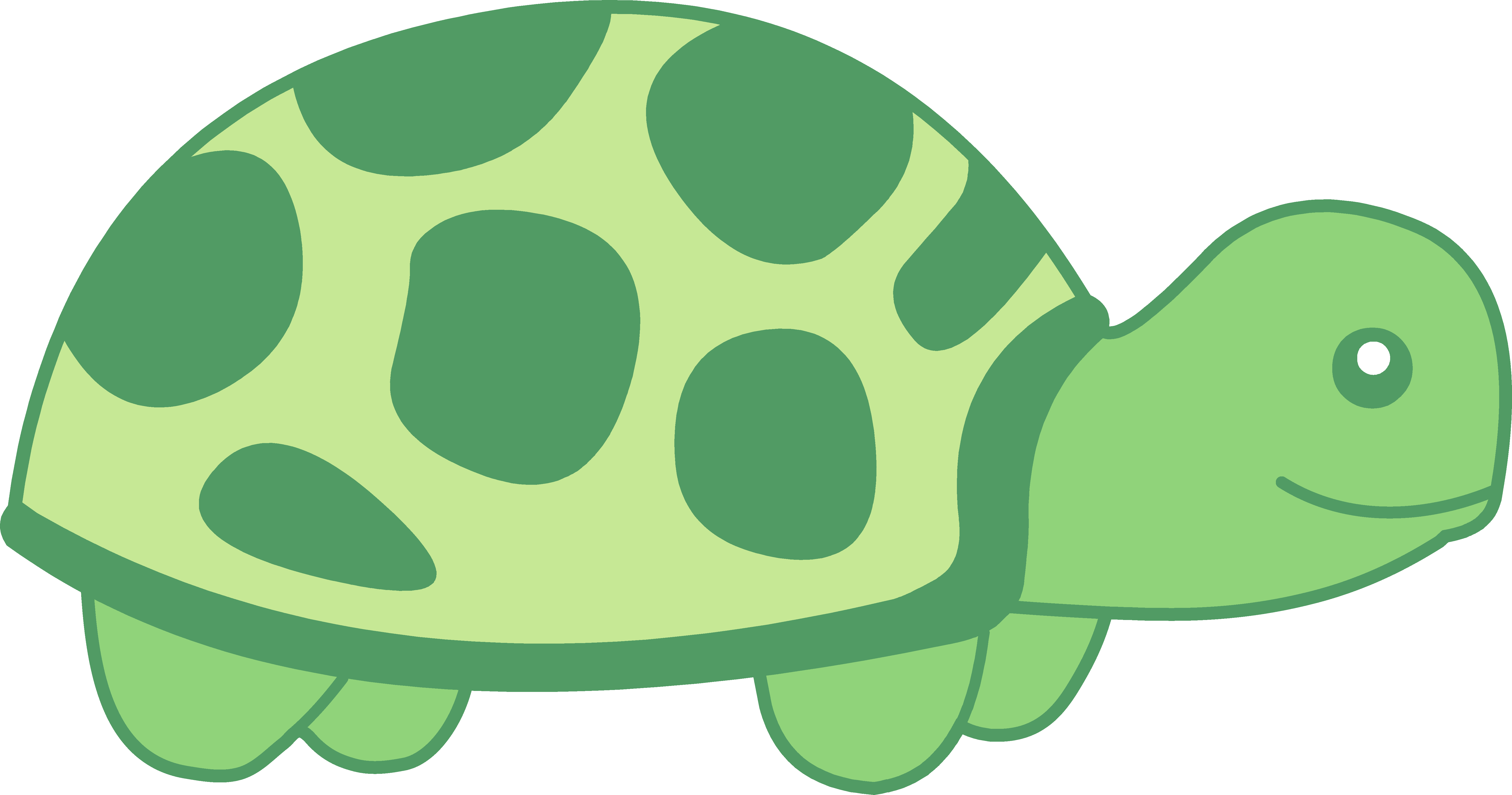 6352x3339 Shell Clipart Turtle