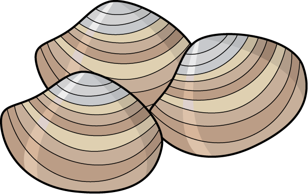 635x401 Clam Clipart