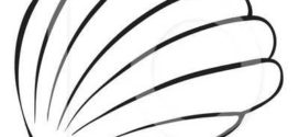 272x125 Seashell Shell Clip Art Black And White Sea Shell Clipart Shells 2