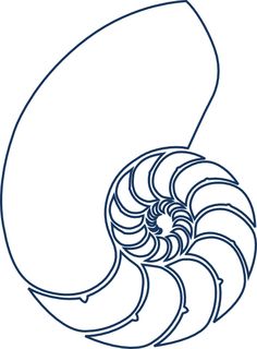 236x320 Nautilus Shell Outline Clip Art For Large Design On Wallceiling
