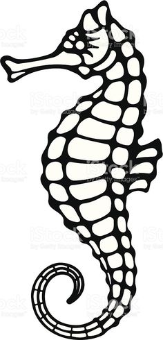 236x490 Navy Blue Shell Sketch Outline Outlines, Shell