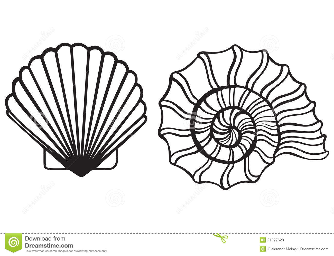 1300x998 Seashell Outline Clip Art