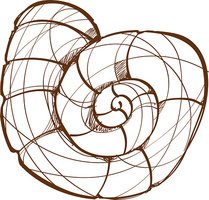 209x200 Shell Outline Sketch In The Style Of Hand Stock Vectors