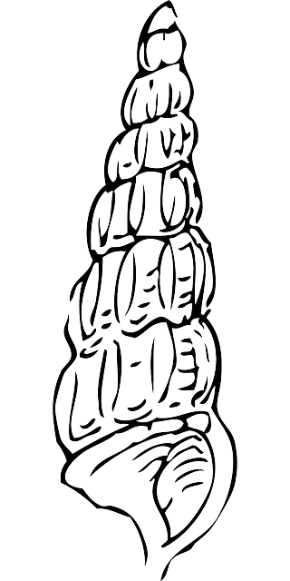 320x640 Water, Outline, Drawing, Cartoon, Snail, Shell, Sea