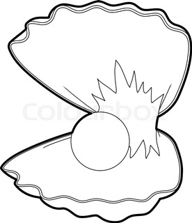 276x320 Conch Shell Stock Vector Colourbox