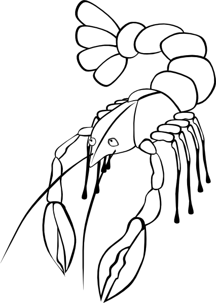 426x599 Crawfish 4 Clip Art