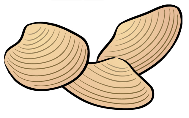 636x397 Mussels Clipart Clam