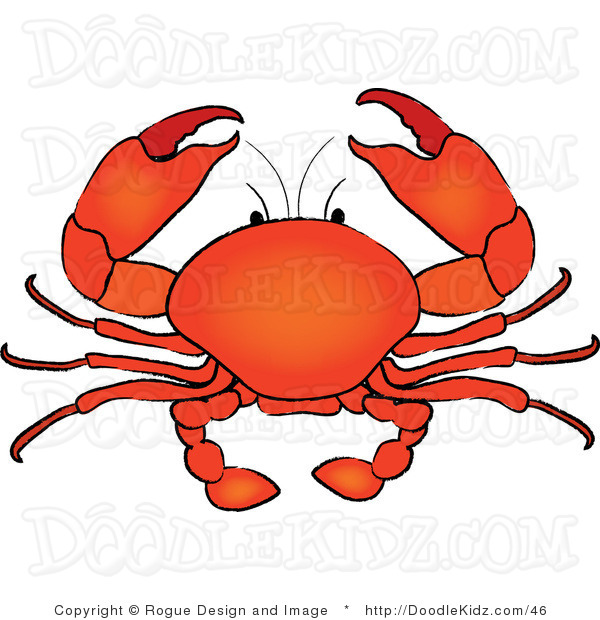 600x620 Shell Clipart Shellfish