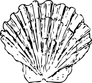 300x271 Shellfish Clip Art Download