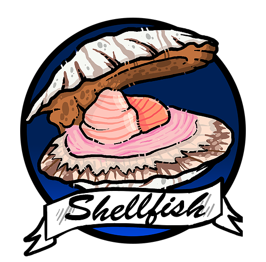 529x520 Valsop Shell Fishscallops