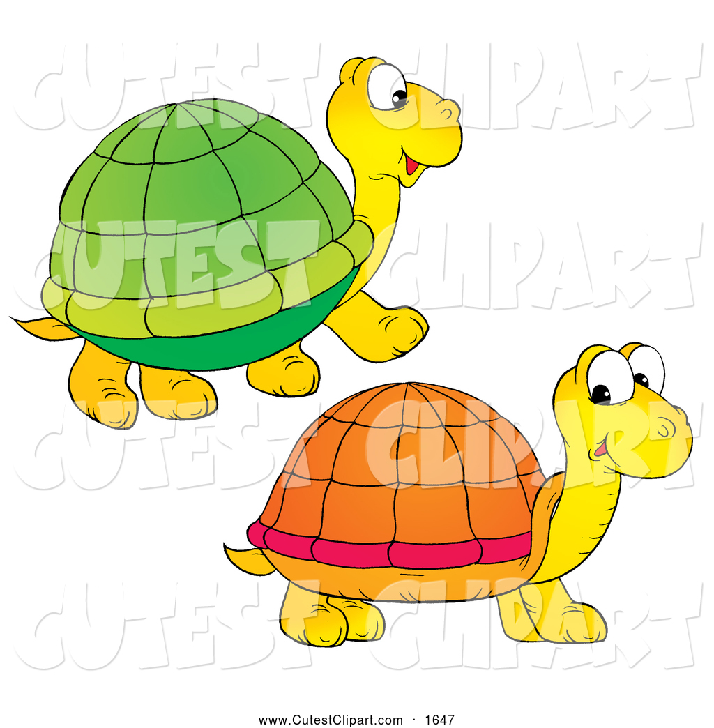 1024x1044 Royalty Free Tortoise Stock Cute Designs