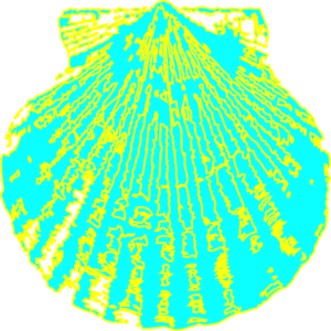300x300 Shell Clip Art