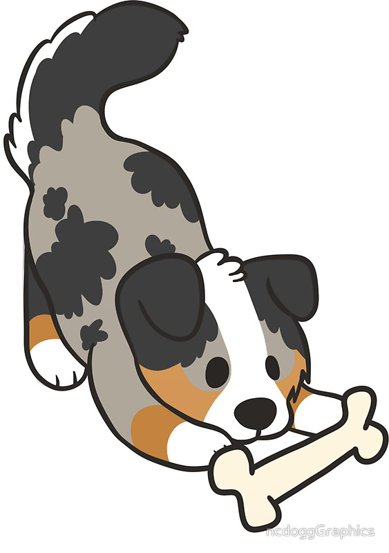 563x800 Australian Shepherd Stickers By Ncdogggraphics Redbubble
