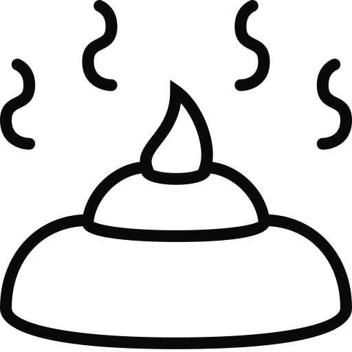 512x512 Poo Icon
