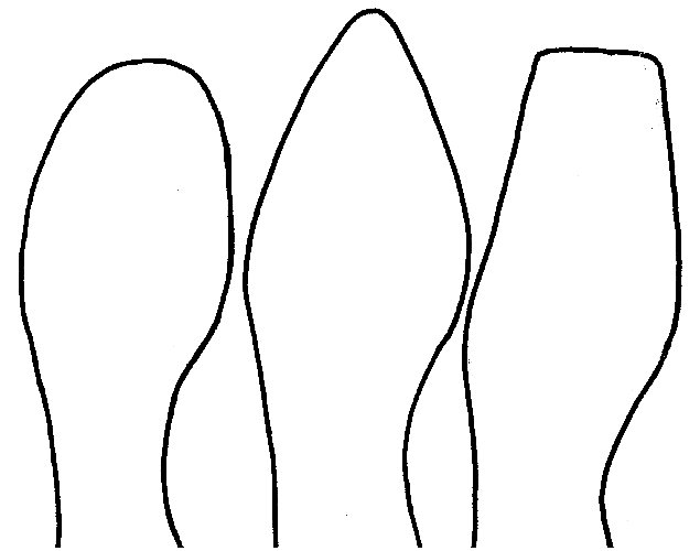 635x500 Good Fitting Dress Shoes Tips On How To Find Them By Nota Bene