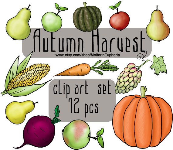 570x494 41 Best Molforineuphoria On Etsy. Digital Images