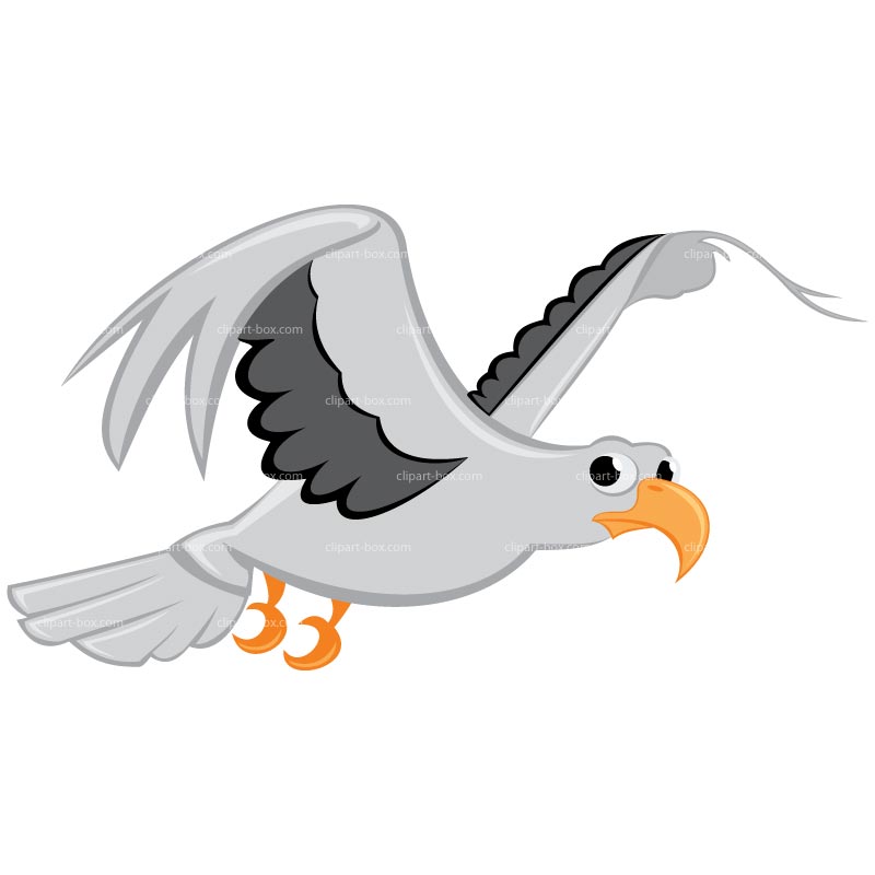 800x800 Top 72 Gull Clip Art