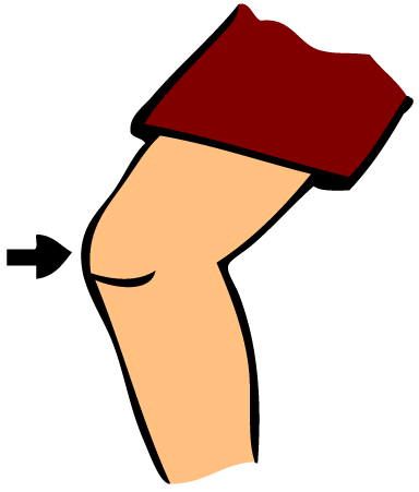 384x451 Shoulder Clipart Knee