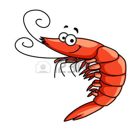 450x442 18,149 Shrimp Stock Illustrations, Cliparts And Royalty Free