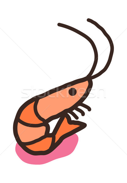 416x600 Shrimp Stock Vectors, Illustrations And Cliparts Stockfresh