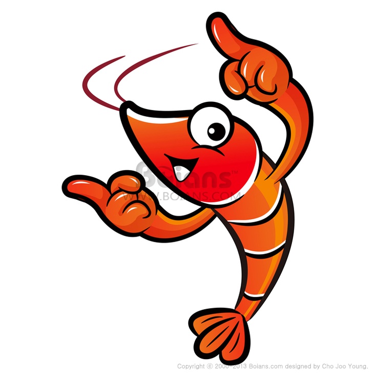 736x736 34 Best Shrimp Images Drawing, Seafood And 2015
