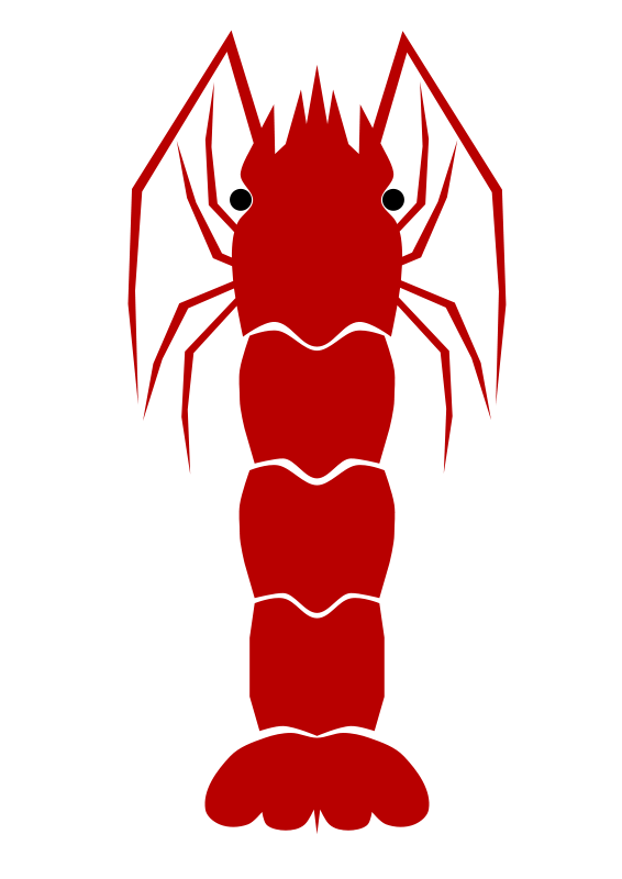 566x800 Shrimp Free To Use Clip Art 2