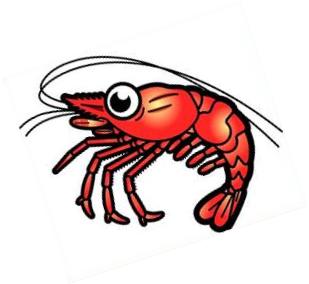309x284 Free Shrimp Clipart 2
