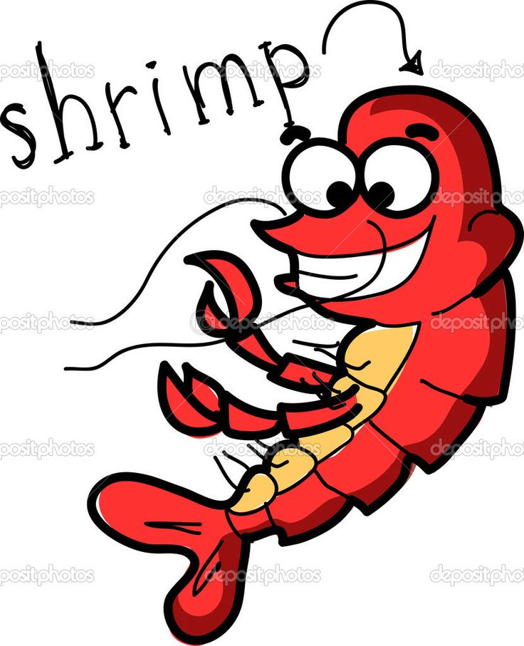 736x907 34 Best Shrimp Images Drawing, Seafood And 2015
