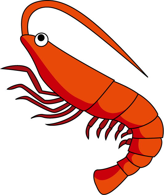 532x633 Graphics For Shrimp Clip Art Graphics