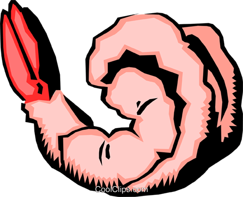 480x389 Shrimp Royalty Free Vector Clip Art Illustration Food0169