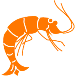 300x300 Shrimp Clip Art Tumundografico 6