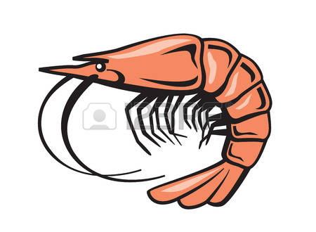 450x330 Shrimp Clipart Prawn