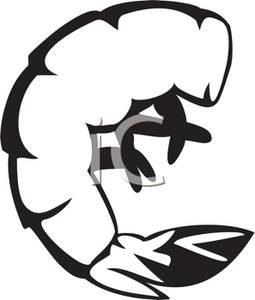 255x300 And White Cooked Shrimp