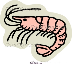 300x266 Shrimp Vector Clip Art