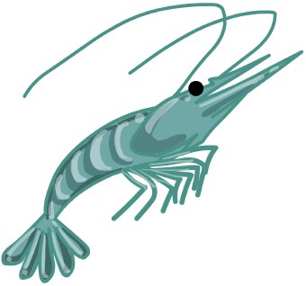 340x318 Shrimp Clip Art