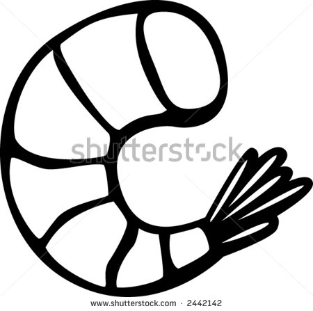 450x447 Shrimp Clipart Outline
