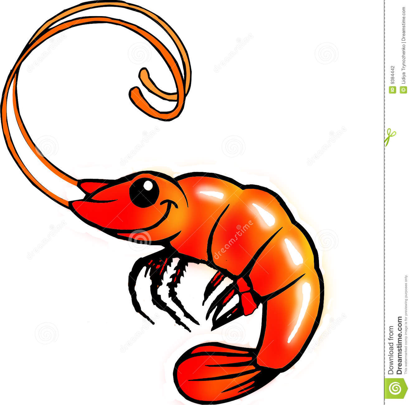1323x1300 Shrimp Clipart Krill
