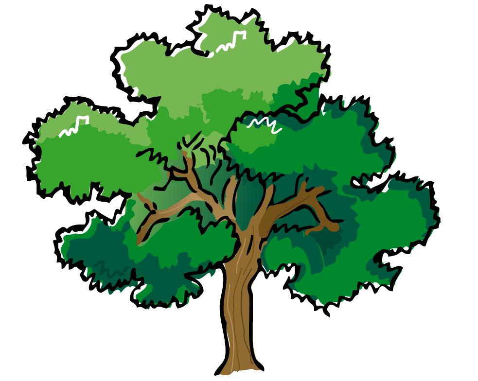 983x784 Shrub Clipart Forest Tree