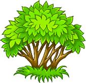 170x163 Small Clipart Shrub