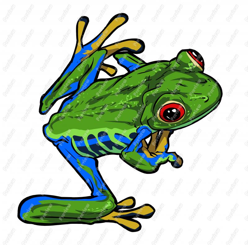 800x788 Tree Frog Character Clip Art