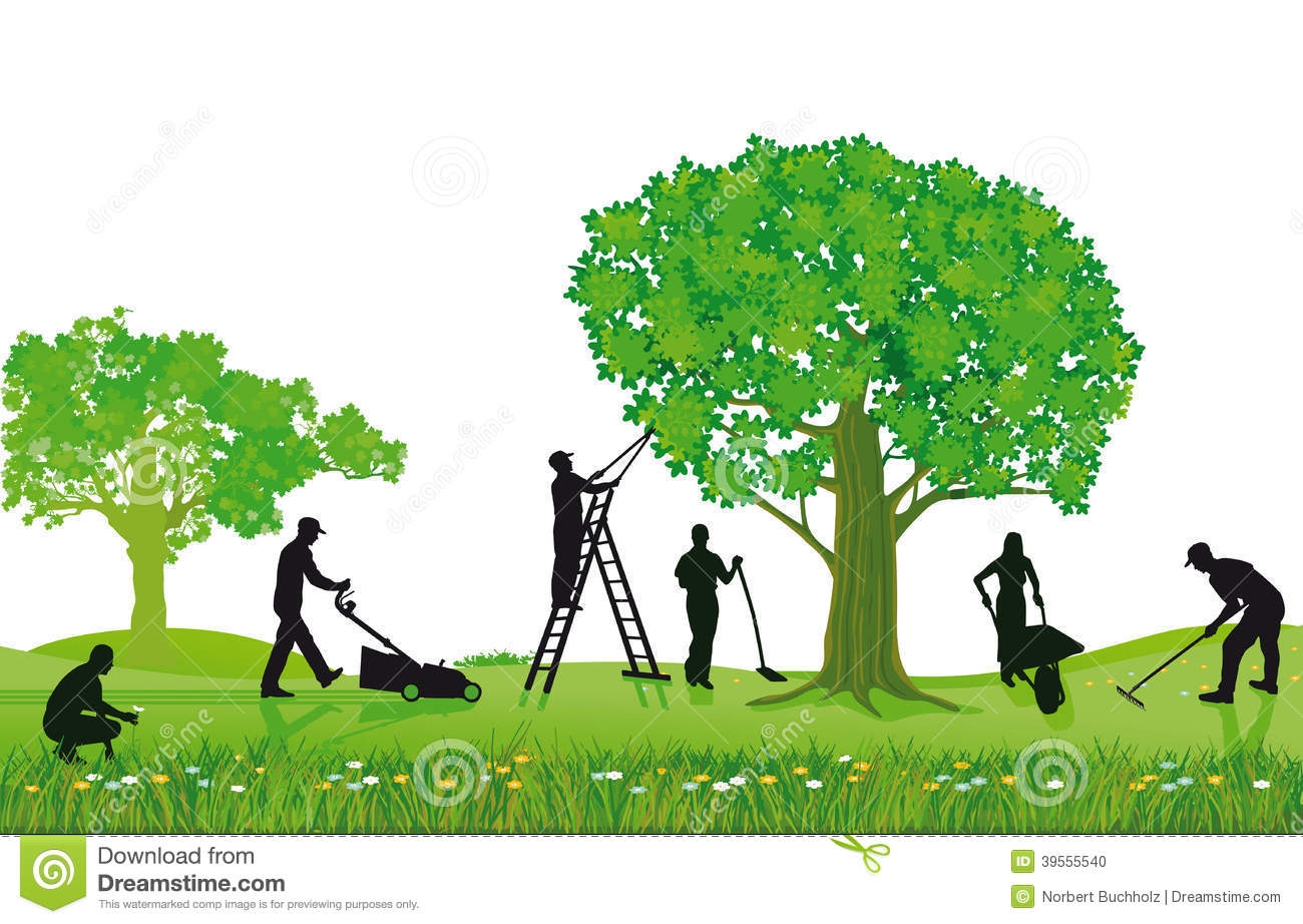 1300x922 Tree And Shrub Care Clip Art Cliparts