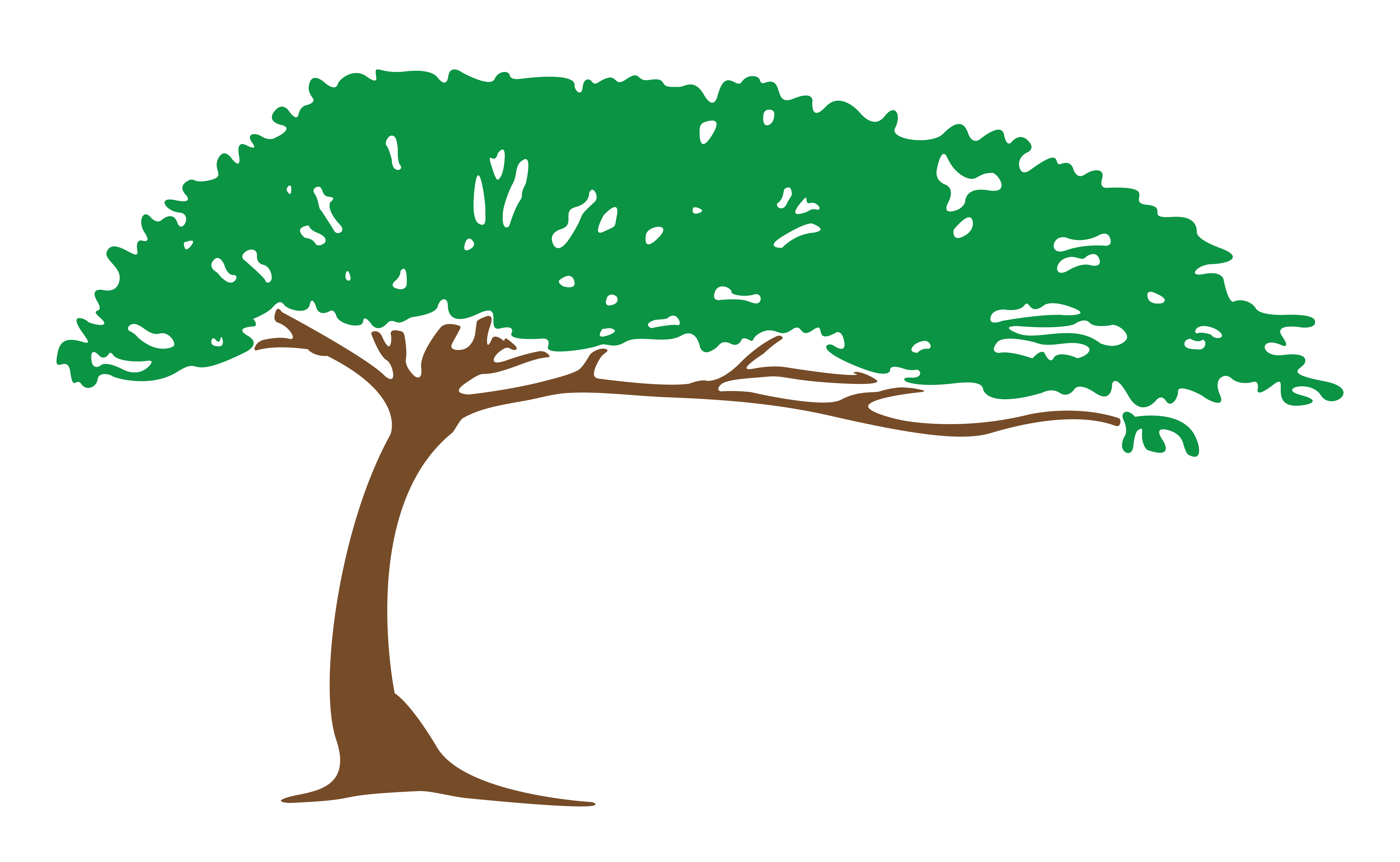 7200x4433 Tree And Shrub