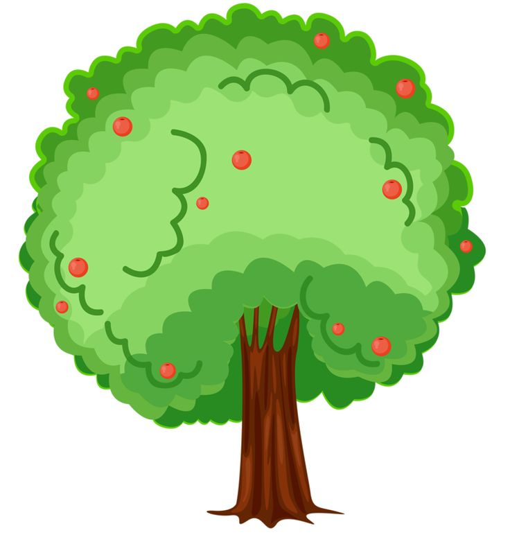 736x785 16 Best Arboles Images Flowers, Beautiful And Clip Art